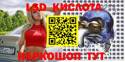 прущие грибы Краснодар