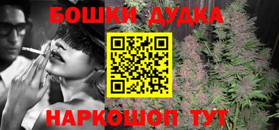 прущие грибы Краснодар