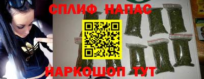 прущие грибы Краснодар