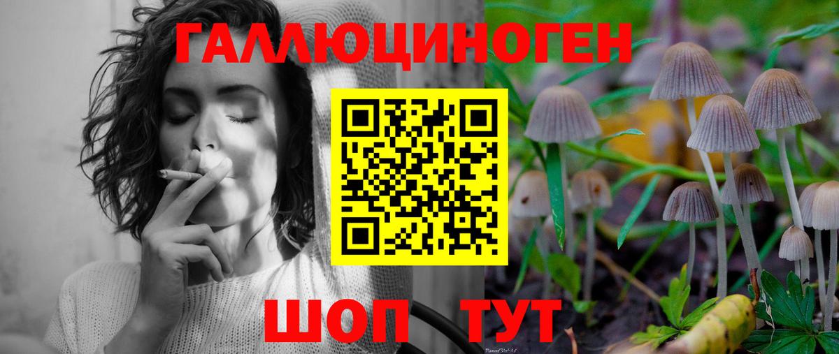 Галлюциногенные грибы Cubensis Казань