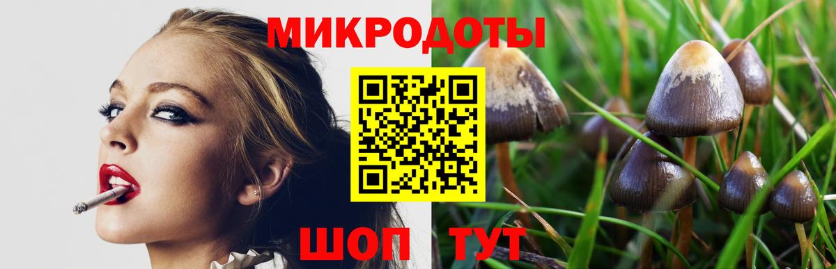 купить   Вход с VPN  Казань  Псилоцибиновые грибы Psilocybine cubensis 